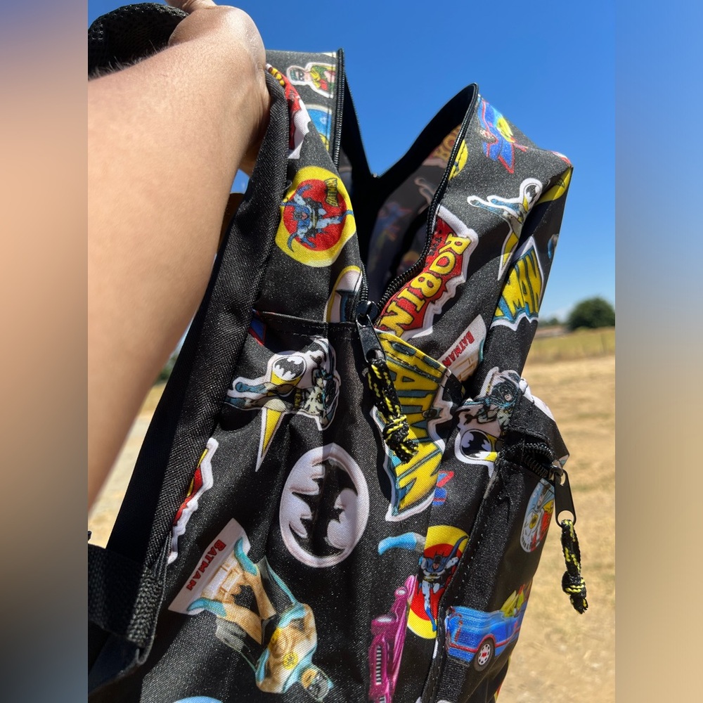 Batman and Robin Backpack - Picture 2 of 9
